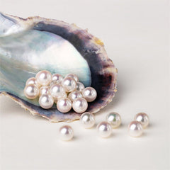 【Sea Water Lover】 Japanese Akoya(1 Sea Water Pure White Round Shape 5-7mm Pearl) -TikTok Live
