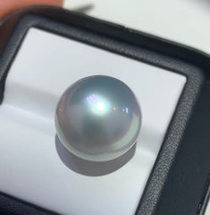 【Sea water】Australia south sea white pearl with certification(9-12mm)-tiktok live