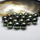 Black Tahitian -TikTok Live