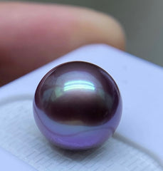 【Purple Lover】Blackberry (One 10-13mm Pearl With a 90% Chance to Get Purple Color)