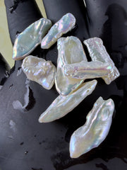 <<NEW ARRIVAL>> Galaxy Phantom Pearl(phantom of Oprah )(3-4pearl per clam huge size)