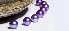 *New Year Special*【Newbie combo set]  2 Blueberry +2  polychrome jellybeans -TikTok Live