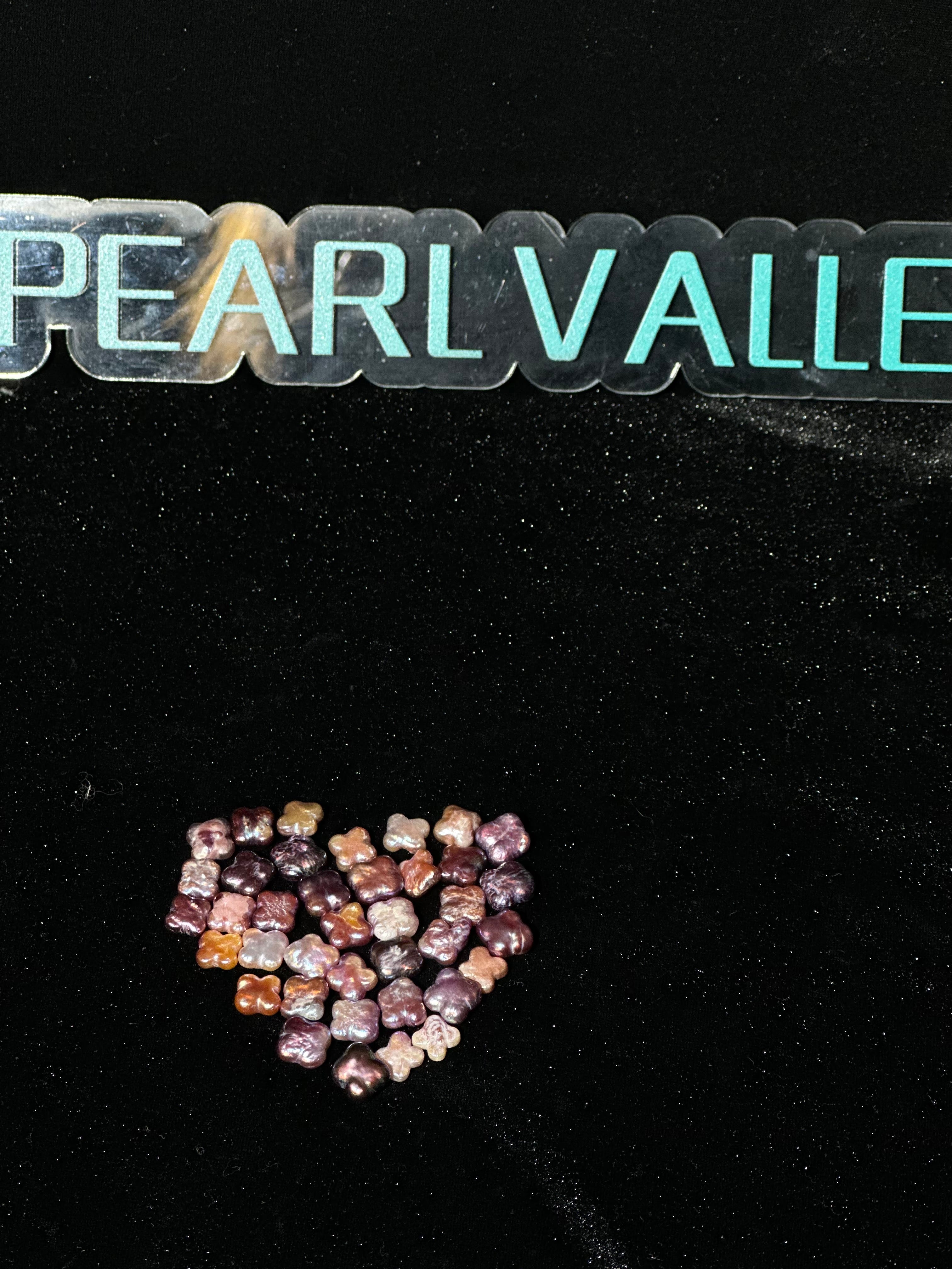 【New arrival】Gummy Clover shaped pearl clams（3-5pcs）