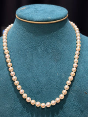 [VIP Jewelry] 50 golden Akoya full string necklace