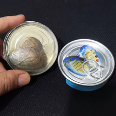 【Pearl blind diy box】Open a surprise canister of your own with your own hands-tiktok live