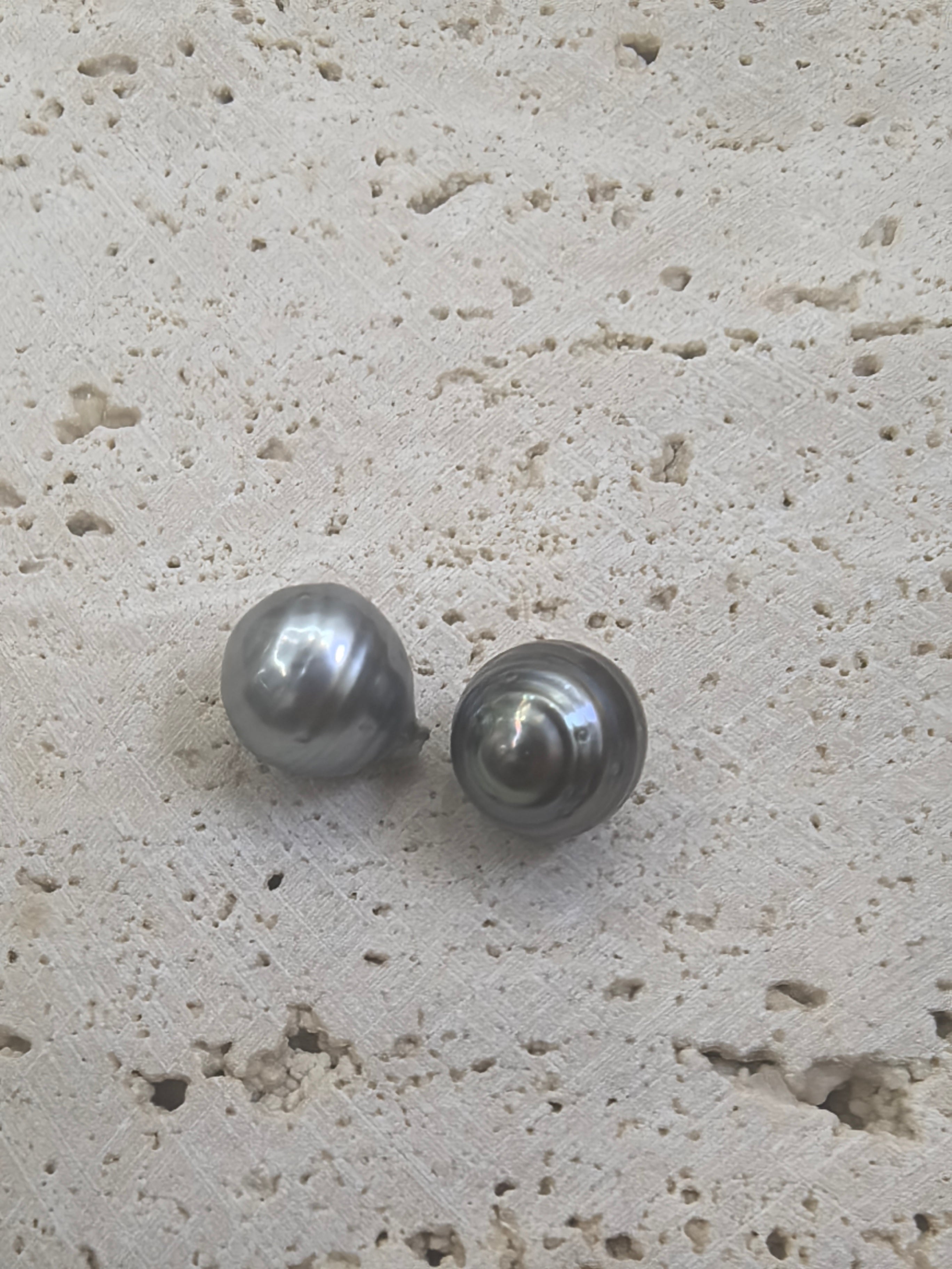 NEW ARRIVAL ( Beehive BT)