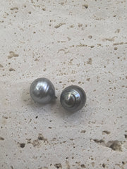 NEW ARRIVAL ( Beehive BT)