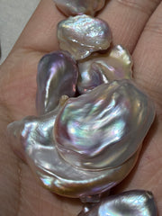 [NEW YEAR ARRIVAL] Petal shaped pearl clam（2-3pcs）